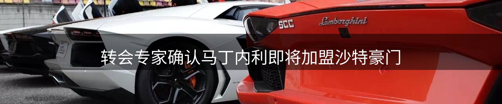 焦点动态